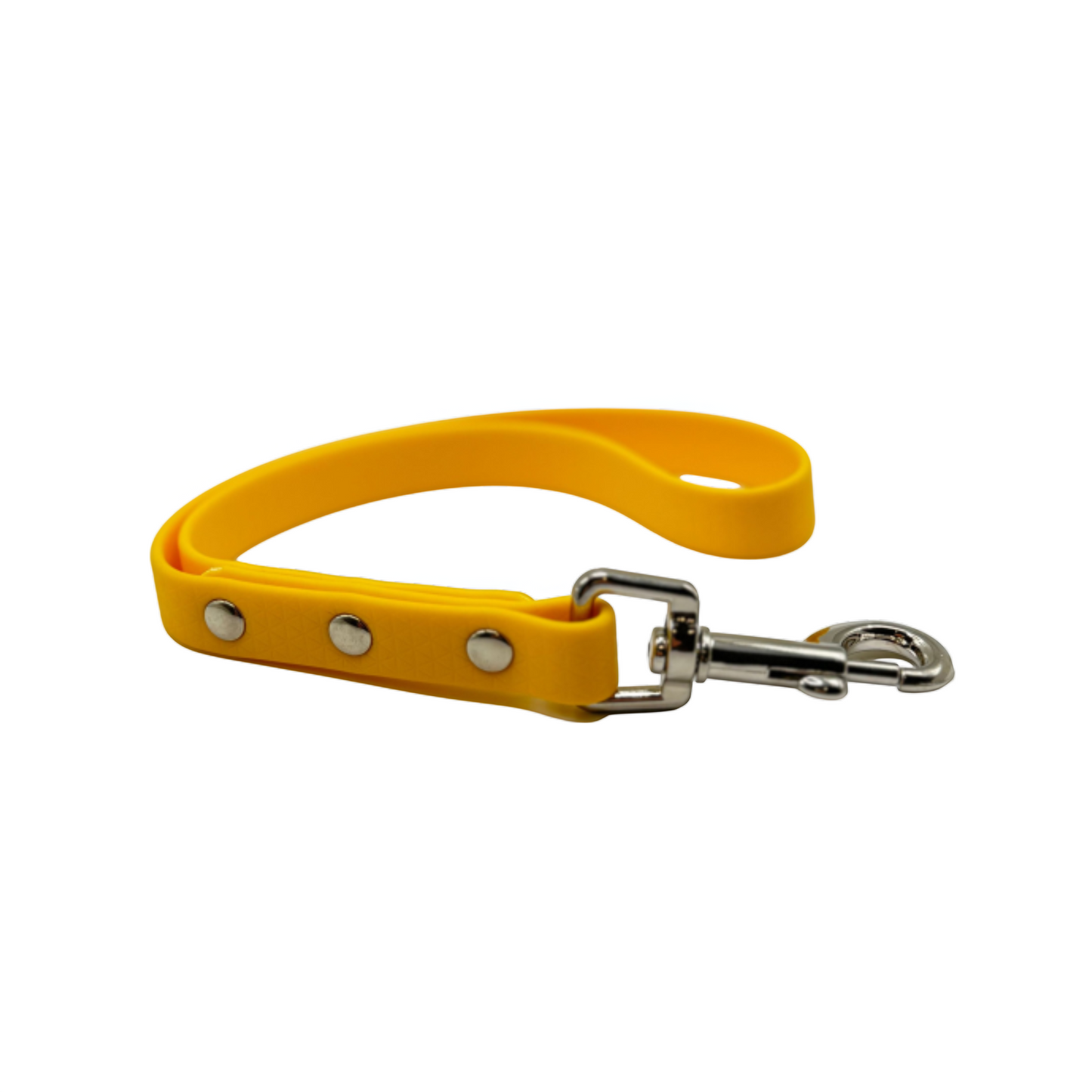 Biothane Short Leash