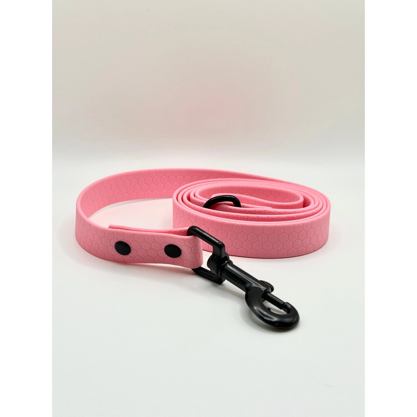 Biothane 4' Leash