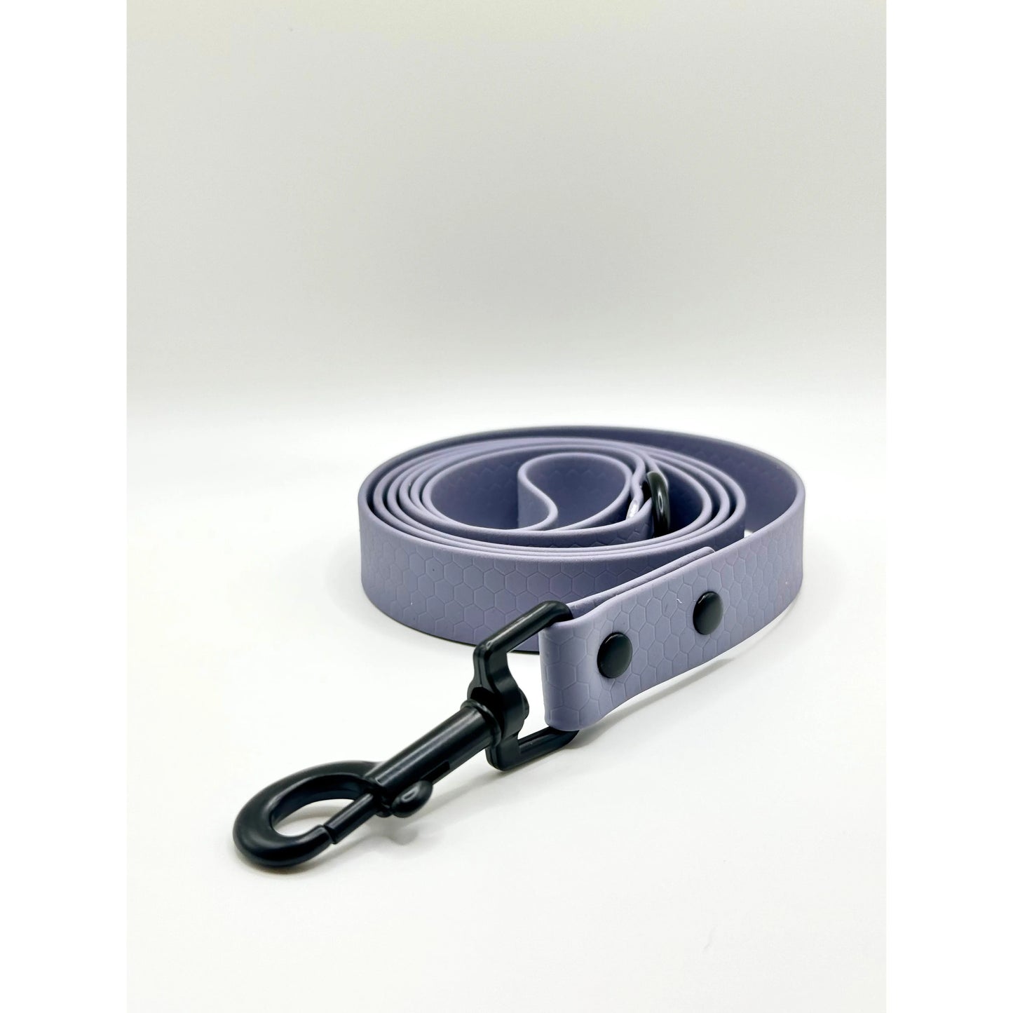 Biothane 4' Leash