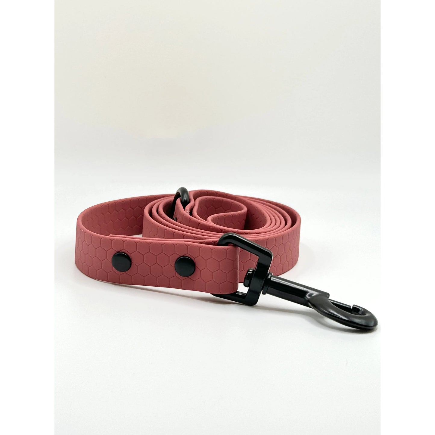 Biothane 4' Leash