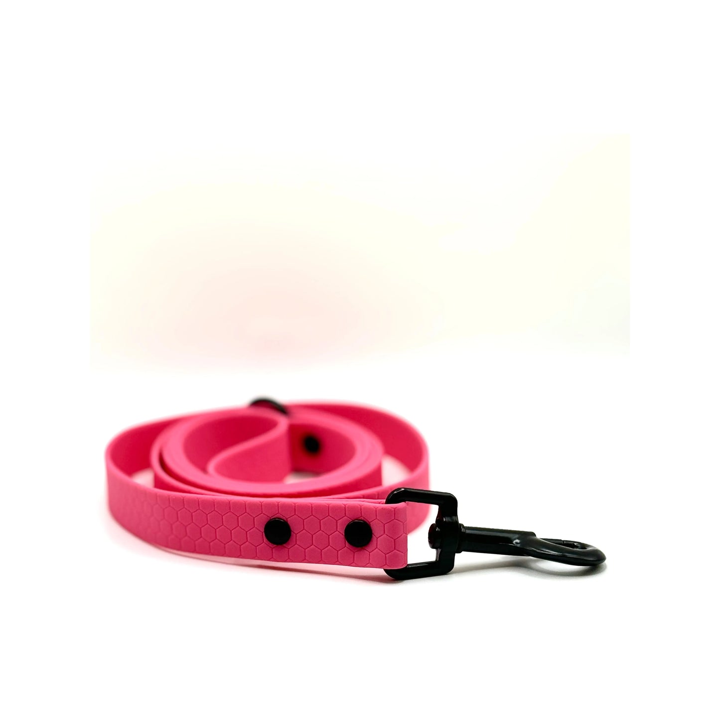 Biothane 4' Leash