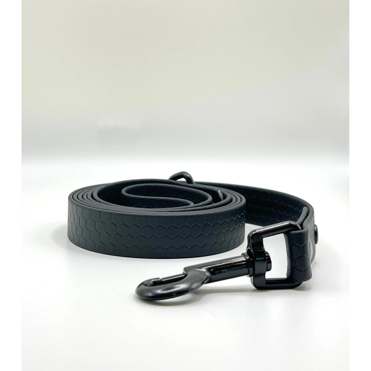 Biothane 4' Leash