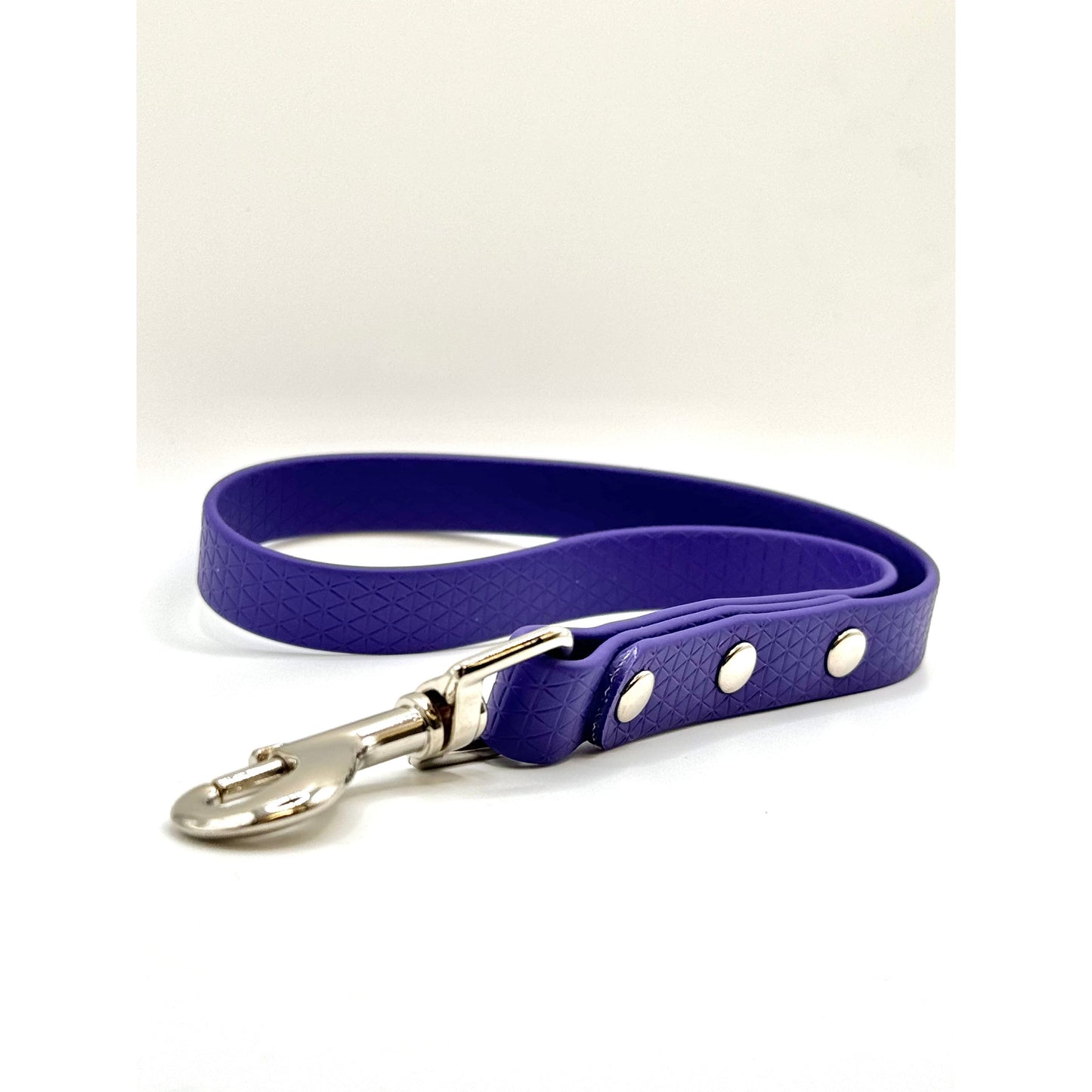 Biothane Short Leash