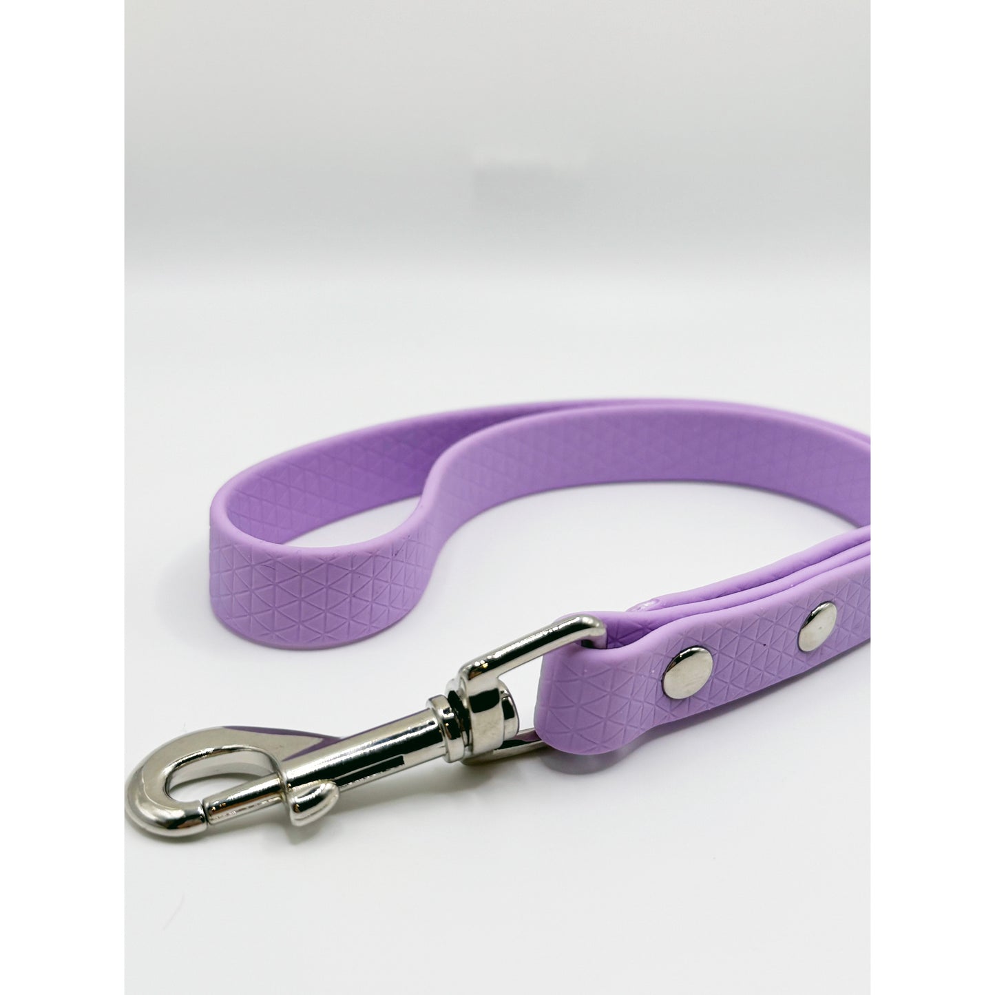 Biothane Short Leash