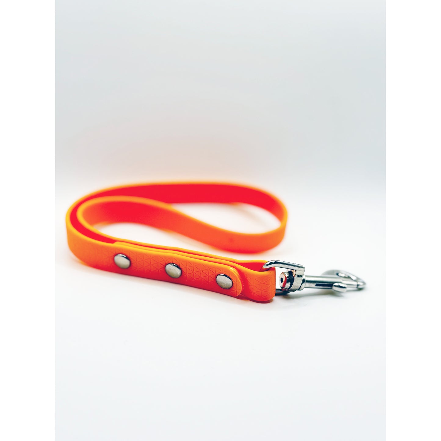 Biothane Short Leash