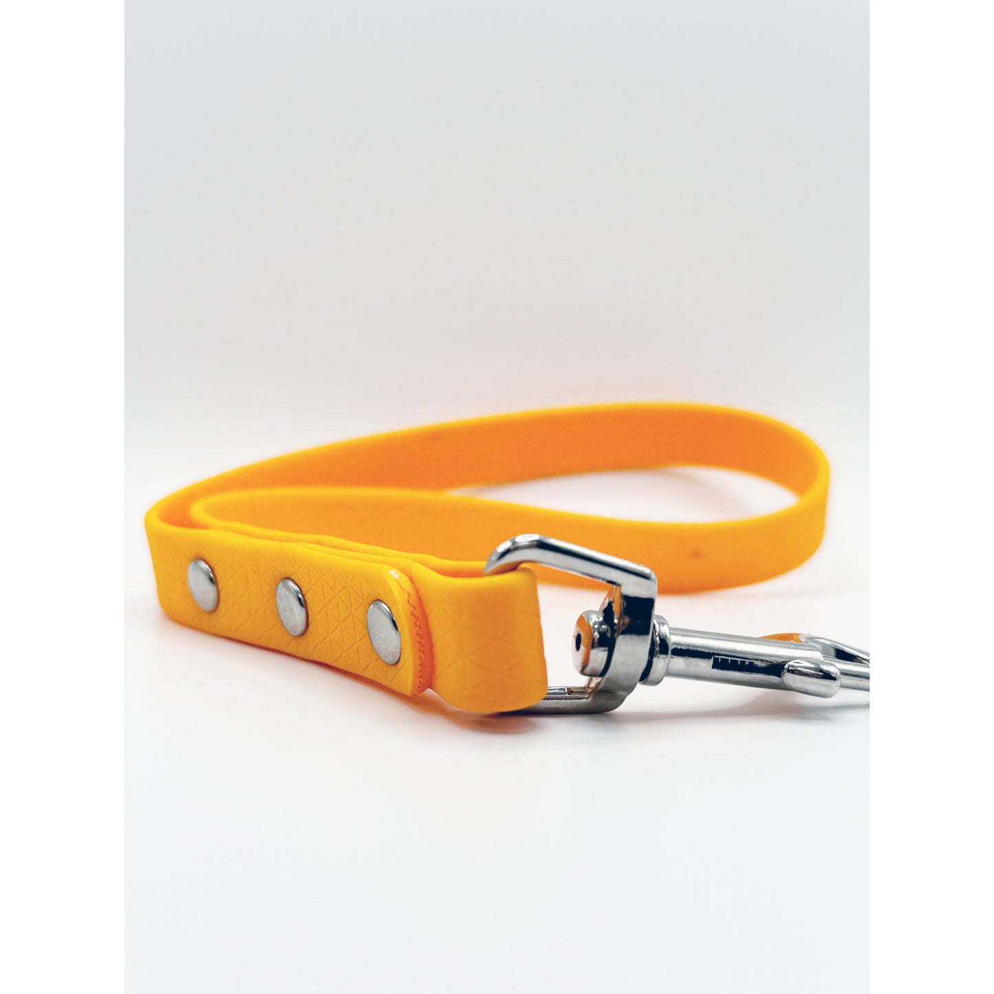 Biothane Short Leash